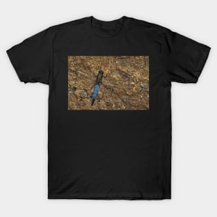 Dragonfly T-Shirt